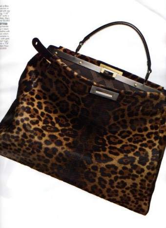 purse-1216