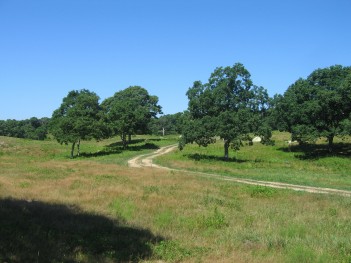 ceremony-site