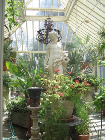 inside-greenhouse