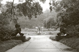 Brookgreen gardens