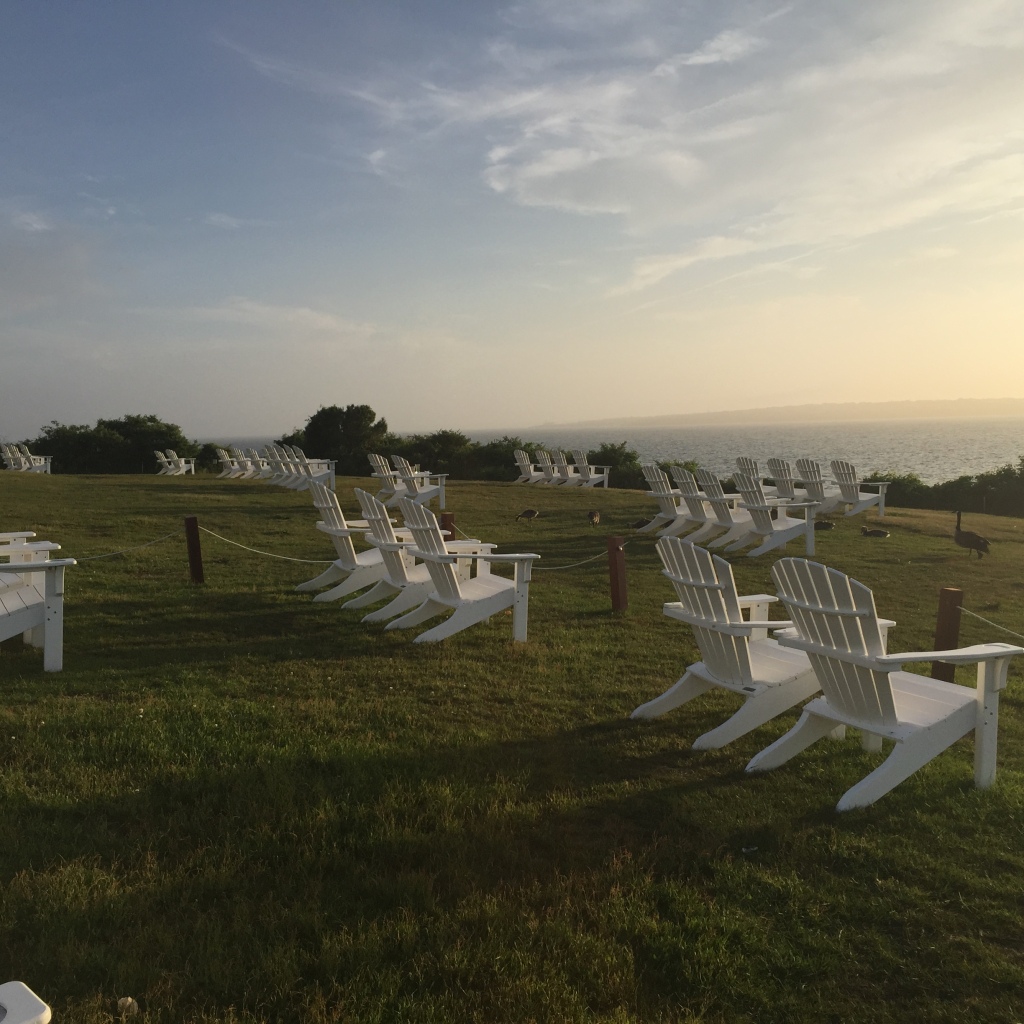 white chairs on lawn